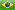 Portugues